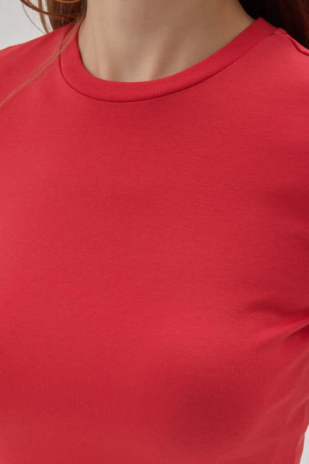 Basic Crop Ribana 2